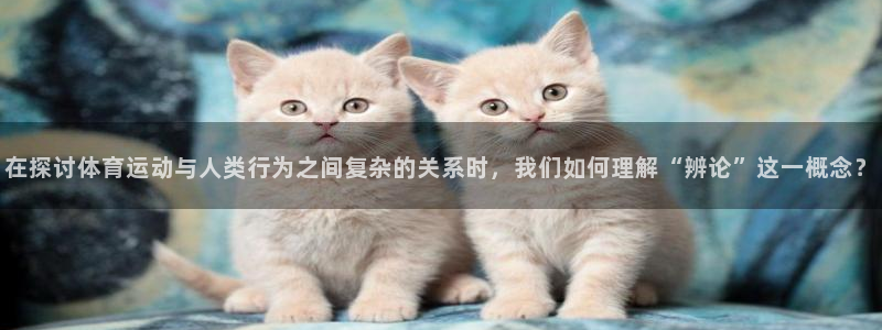 哈哈体育下载