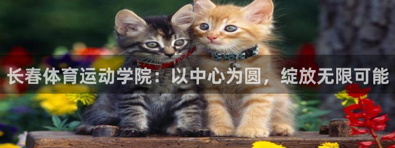 哈哈体育十年