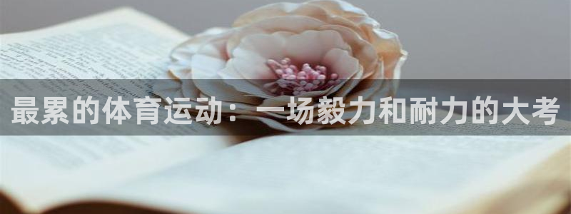 哈哈体育