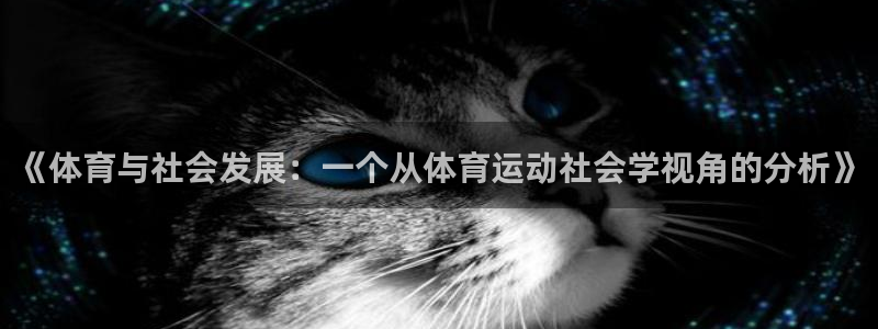 哈哈体育下载