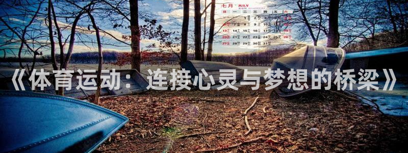 哈哈体育下载