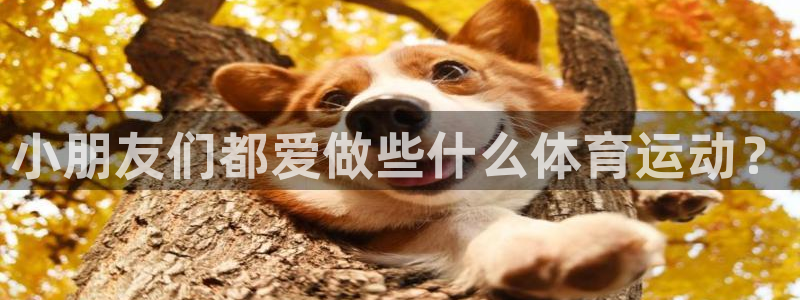 哈哈体育十年