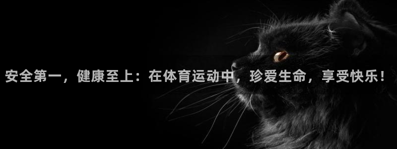 哈哈体育十年
