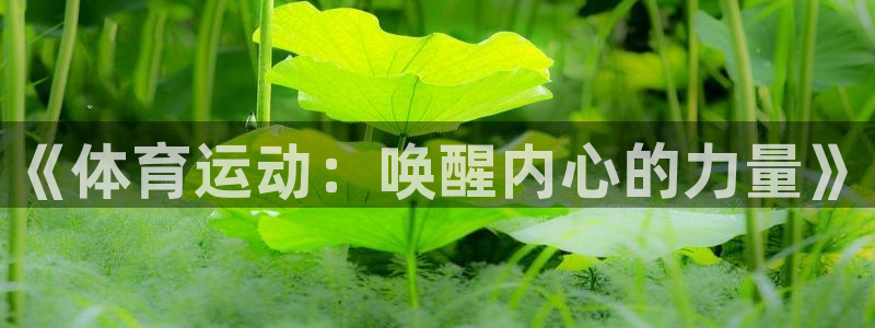 哈哈体育