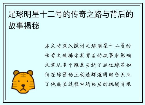 足球明星十二号的传奇之路与背后的故事揭秘