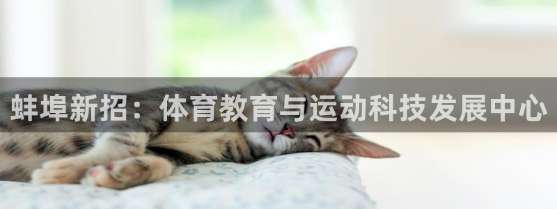 哈哈体育下载