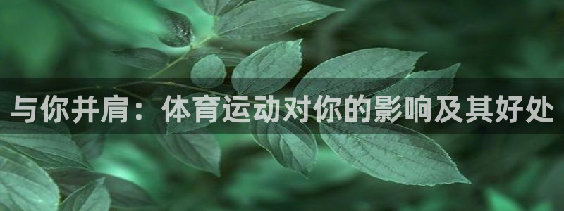 哈哈体育