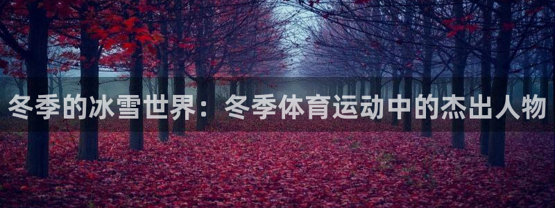 哈哈体育下载