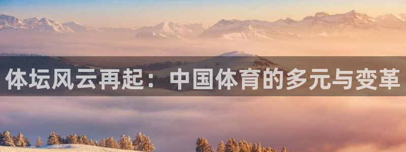 哈哈体育十年