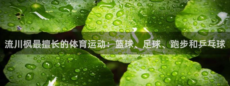 哈哈体育