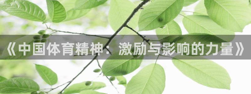 哈哈体育下载
