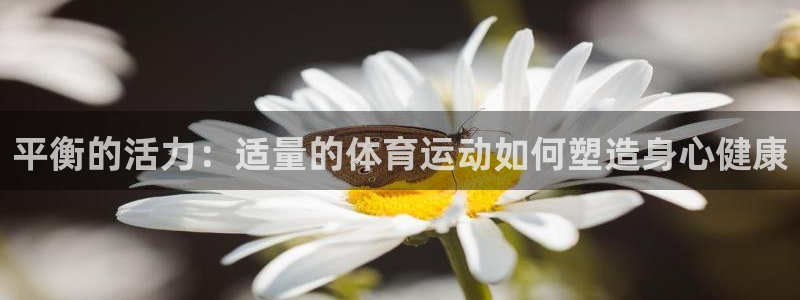 哈哈体育