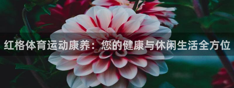 哈哈体育十年