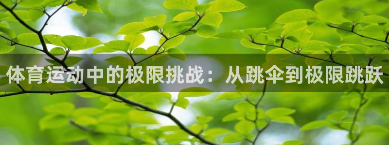 哈哈体育十年